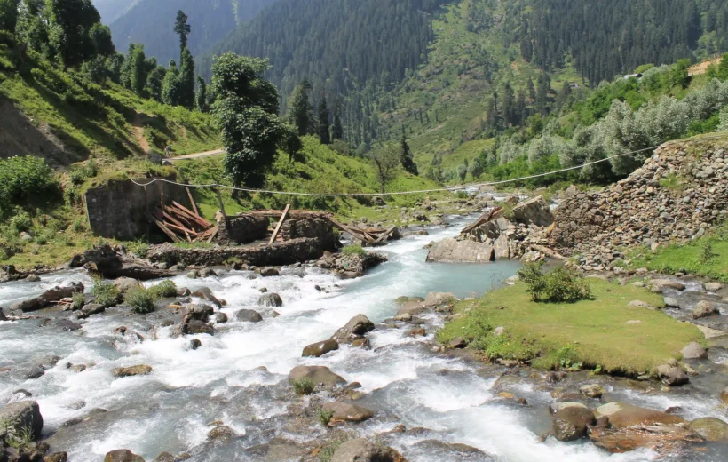 Kashmir Paradise